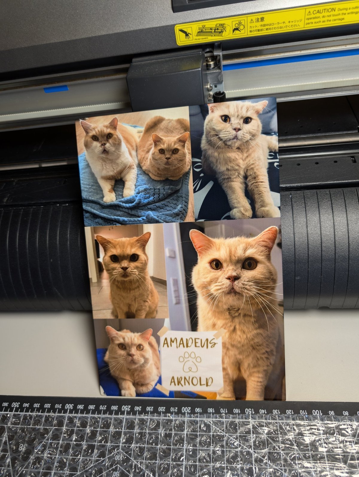 Pet portrait printed on metal
